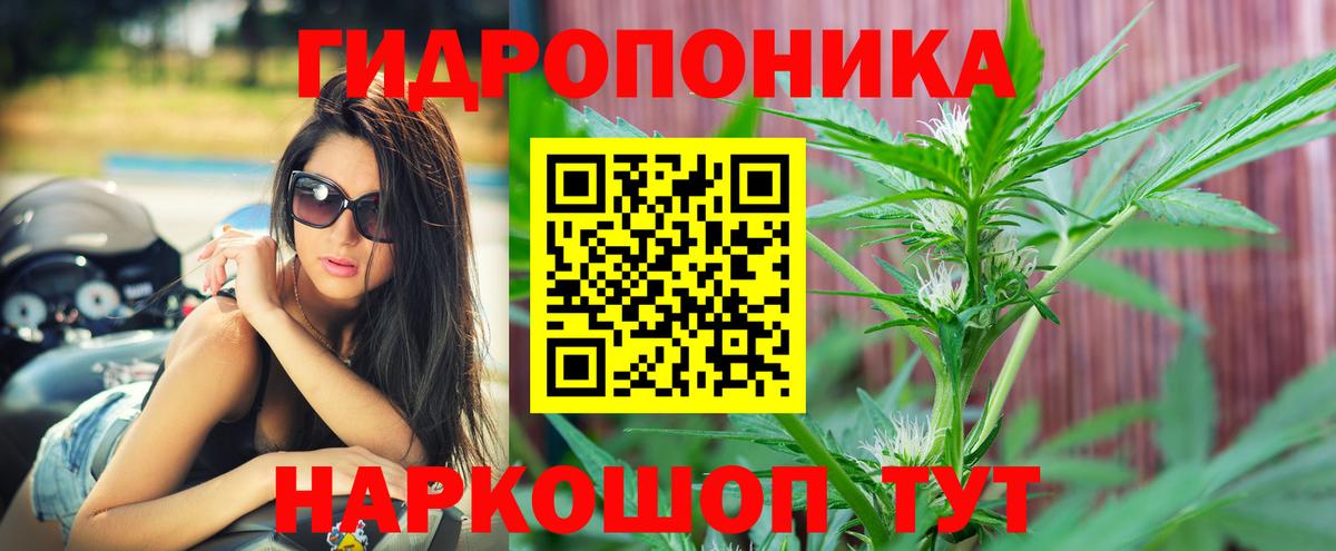Конопля семена  Марихуана Amnesia  Марихуана OG Kush  МАРИХУАНА тримм  Вход с VPN  Реутов 